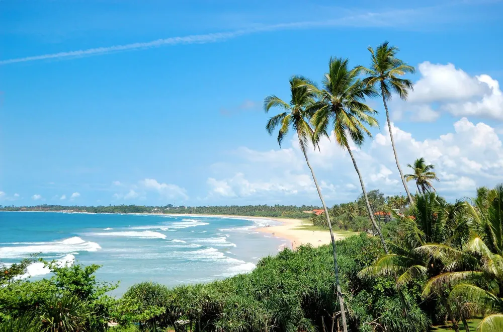 Bentota Things to Do
